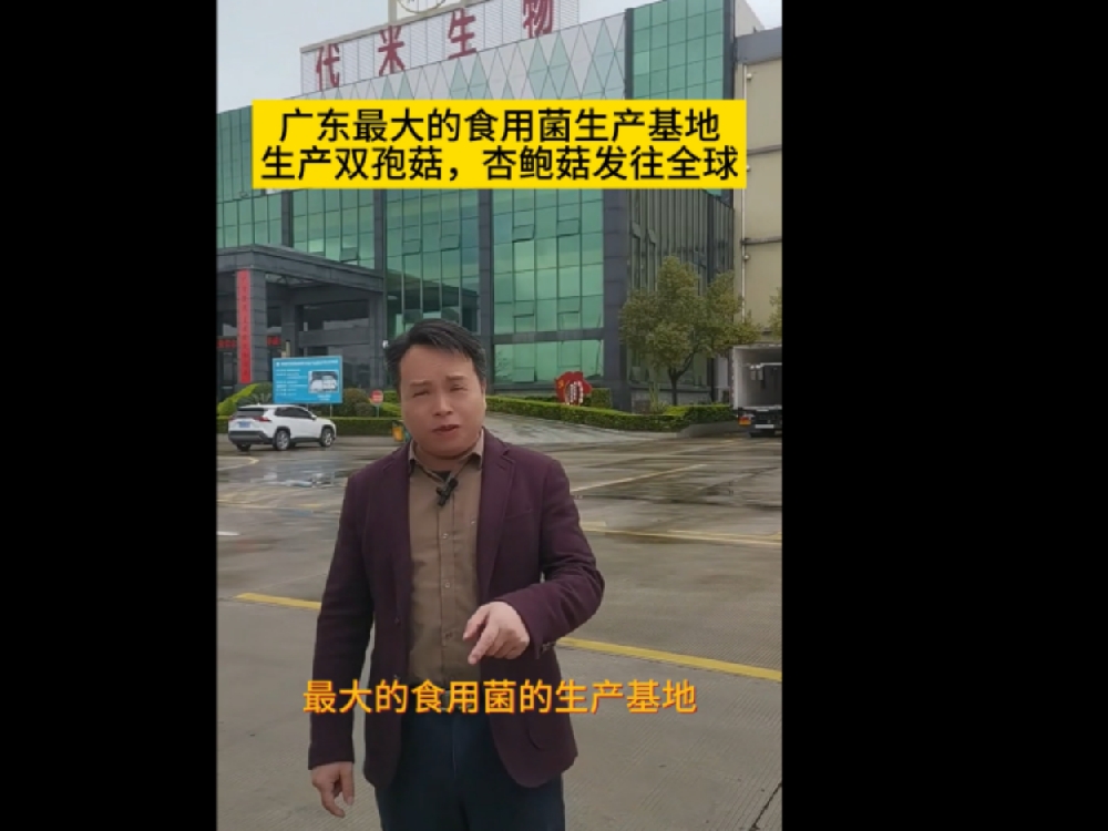 廣東最大的食用菌生產(chǎn)基地，代米生物真空預冷機使用現(xiàn)場